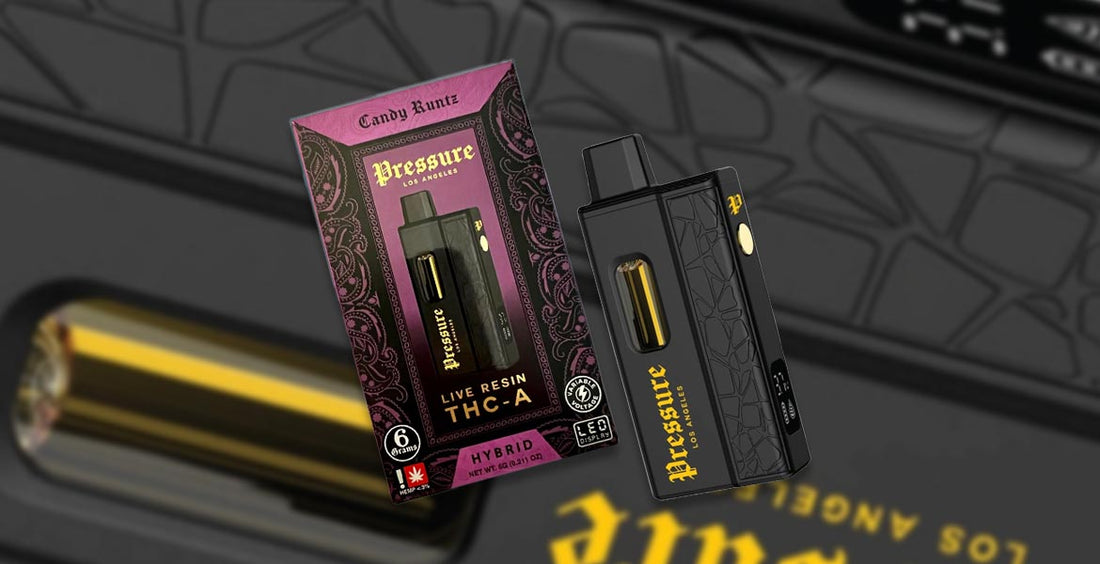 Pressure Live Resin THC-A Disposable Vape Review hrblextracts.com Pressure Live Resin THC-A Disposable Vape Review hrblextracts.com
